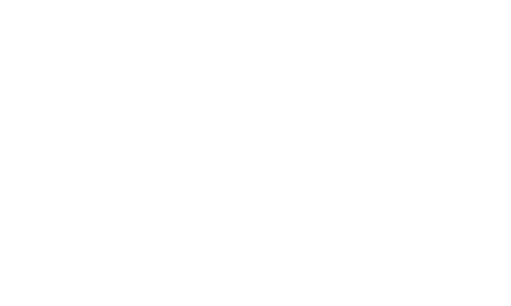 The Disruptive Guys